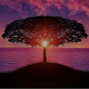 Meet your Posher, Jackosn